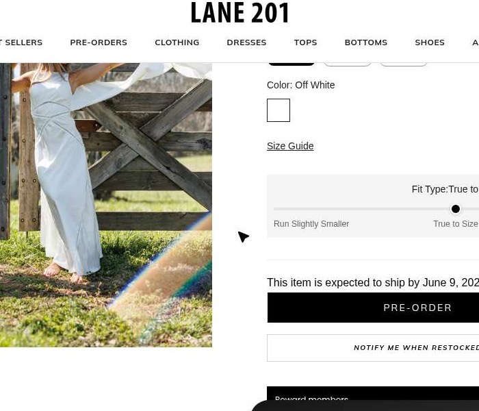 Chasing Forever Dress: 'This item is expected to ship by June 9, 2026' with PRE-ORDER button
